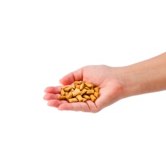Petisco Nugget Cansei de Ser Gato Sabor Salmão 40 g