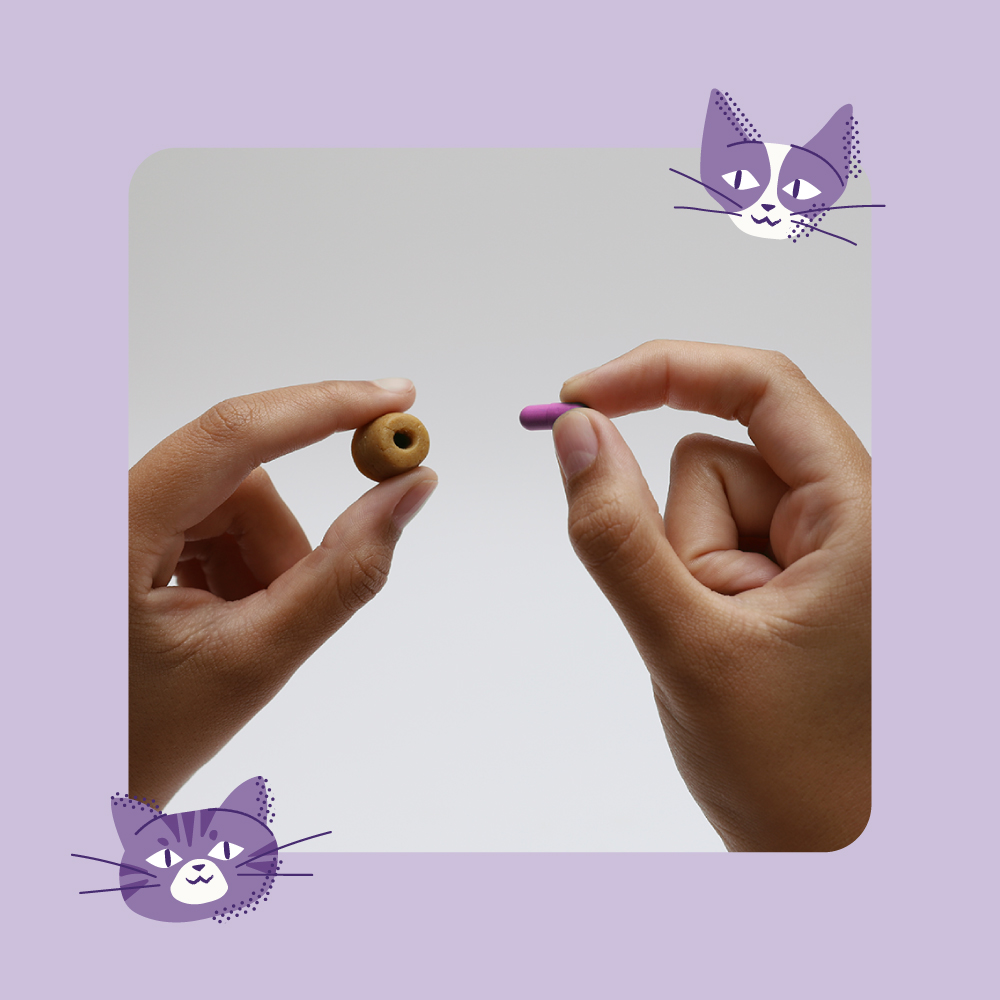 Disfarça Comprimido Moldável Happy Med para Gatos 12 Unidades