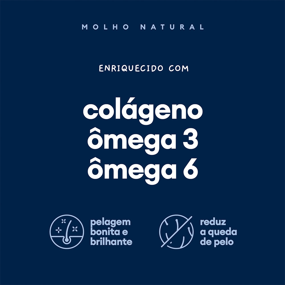 Molho Natural Pet Delícia Carne para Gatos 100 g