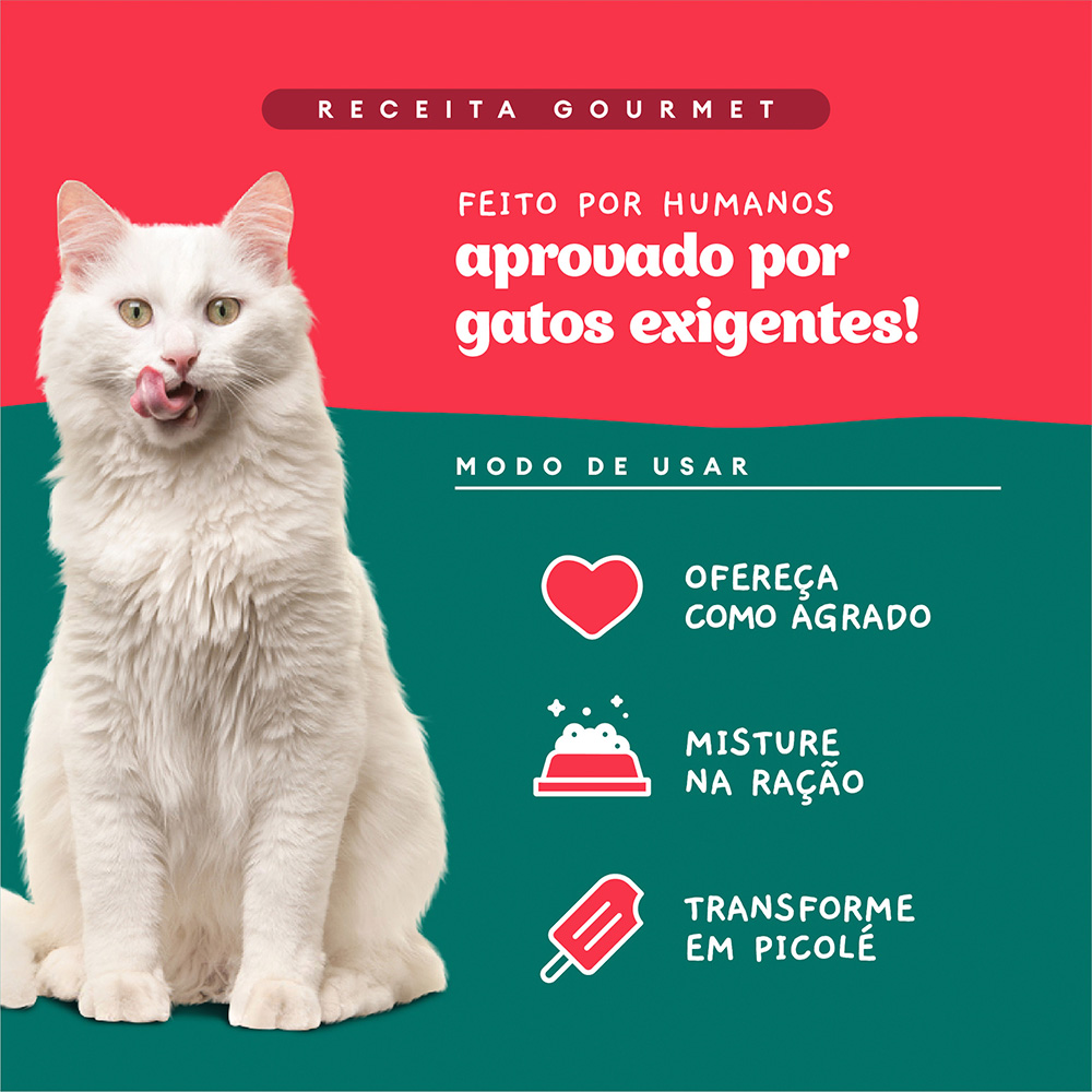 Sachê Natural Pet Delícia Ragu de Carne com Chia para Gatos 80g