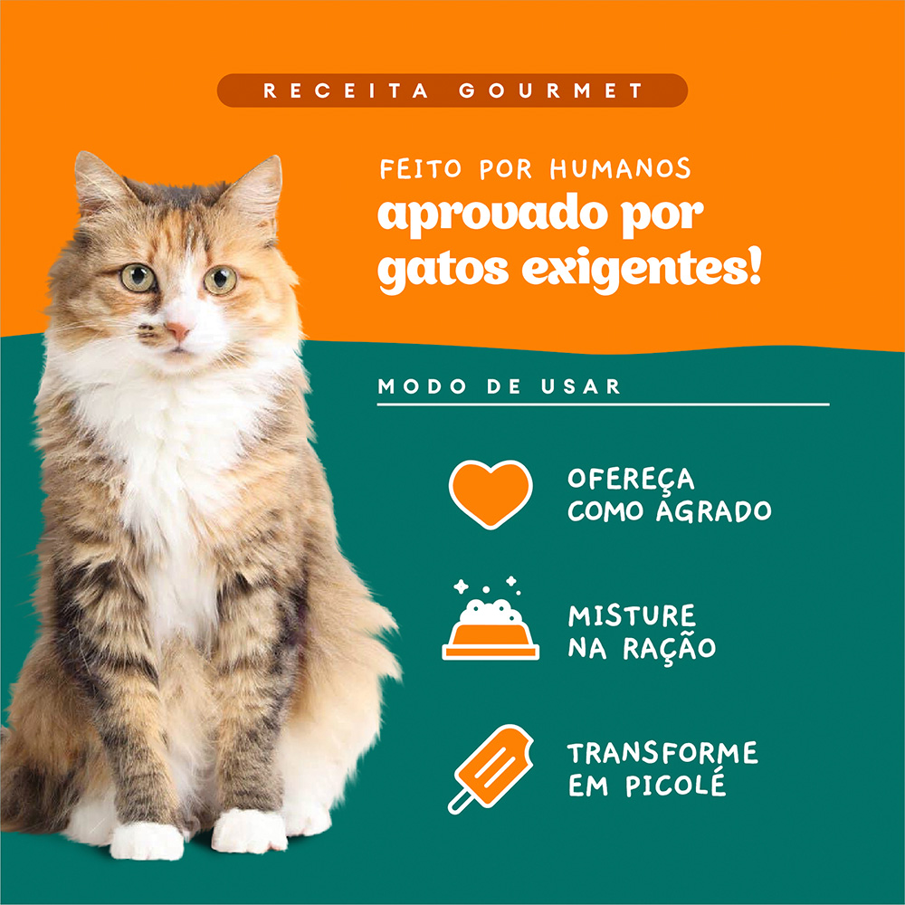 Sachê Natural Pet Delícia Ragu de Frango com Chia para Gatos 80g