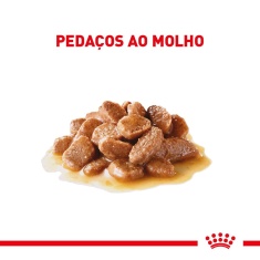 Ração Úmida Royal Canin Ageing 11+ para Gatos Sênior 85 g