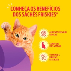 Ração Úmida Friskies Sachê para Gatos Megamix 80 g