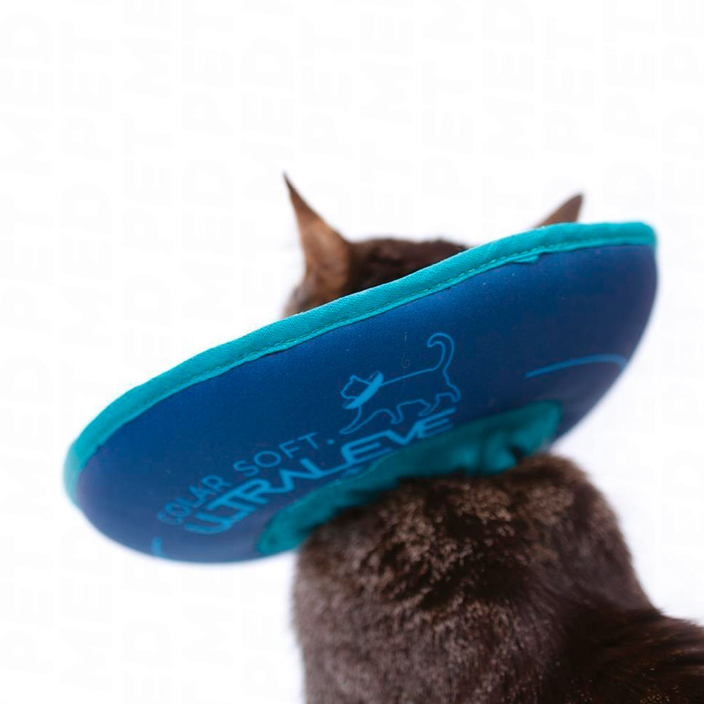 Colar Elisabetano Pet Med Ultraleve Soft Petróleo e Turquesa para Gatos