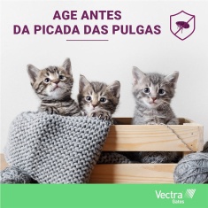 Combo Anti Pulgas Ceva Vectra para Gatos