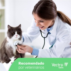 Combo Anti Pulgas Ceva Vectra para Gatos
