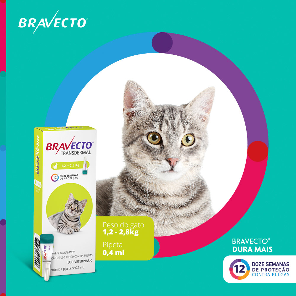 Antipulgas Bravecto Transdermal 112,5mg para Gatos de 1,2 a 2,5kg - MSD Saúde Animal