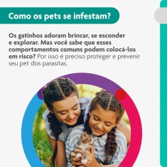 Antipulgas Bravecto Transdermal 112,5mg para Gatos de 1,2 a 2,5kg - MSD Saúde Animal