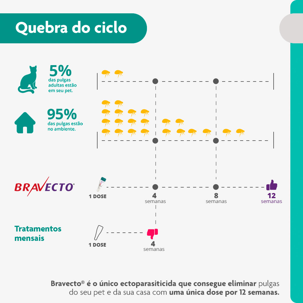 Antipulgas Bravecto Transdermal 112,5mg para Gatos de 1,2 a 2,5kg - MSD Saúde Animal