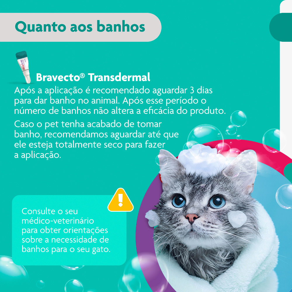 Antipulgas Bravecto Transdermal 112,5mg para Gatos de 1,2 a 2,5kg - MSD Saúde Animal