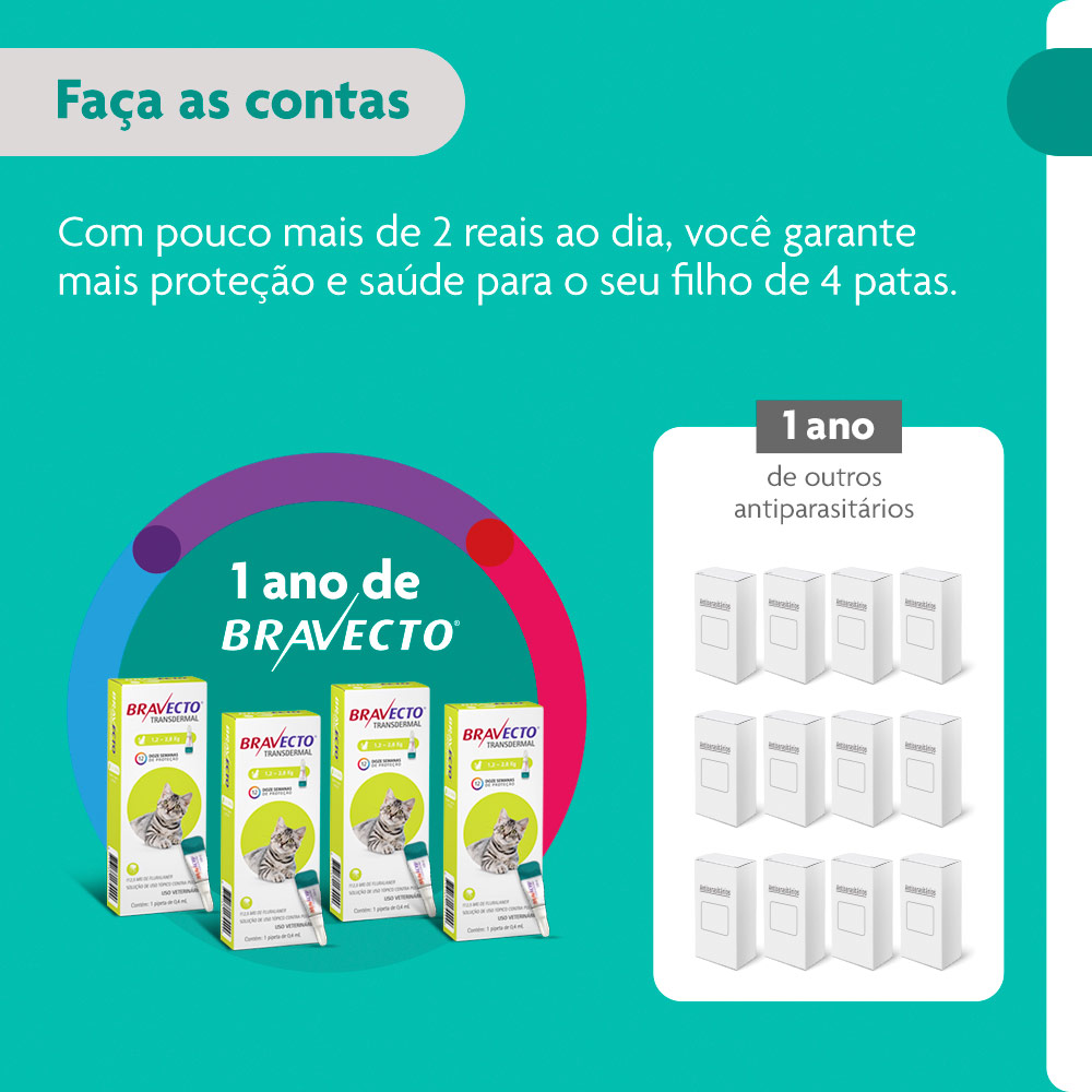 Antipulgas Bravecto Transdermal 112,5mg para Gatos de 1,2 a 2,5kg - MSD Saúde Animal