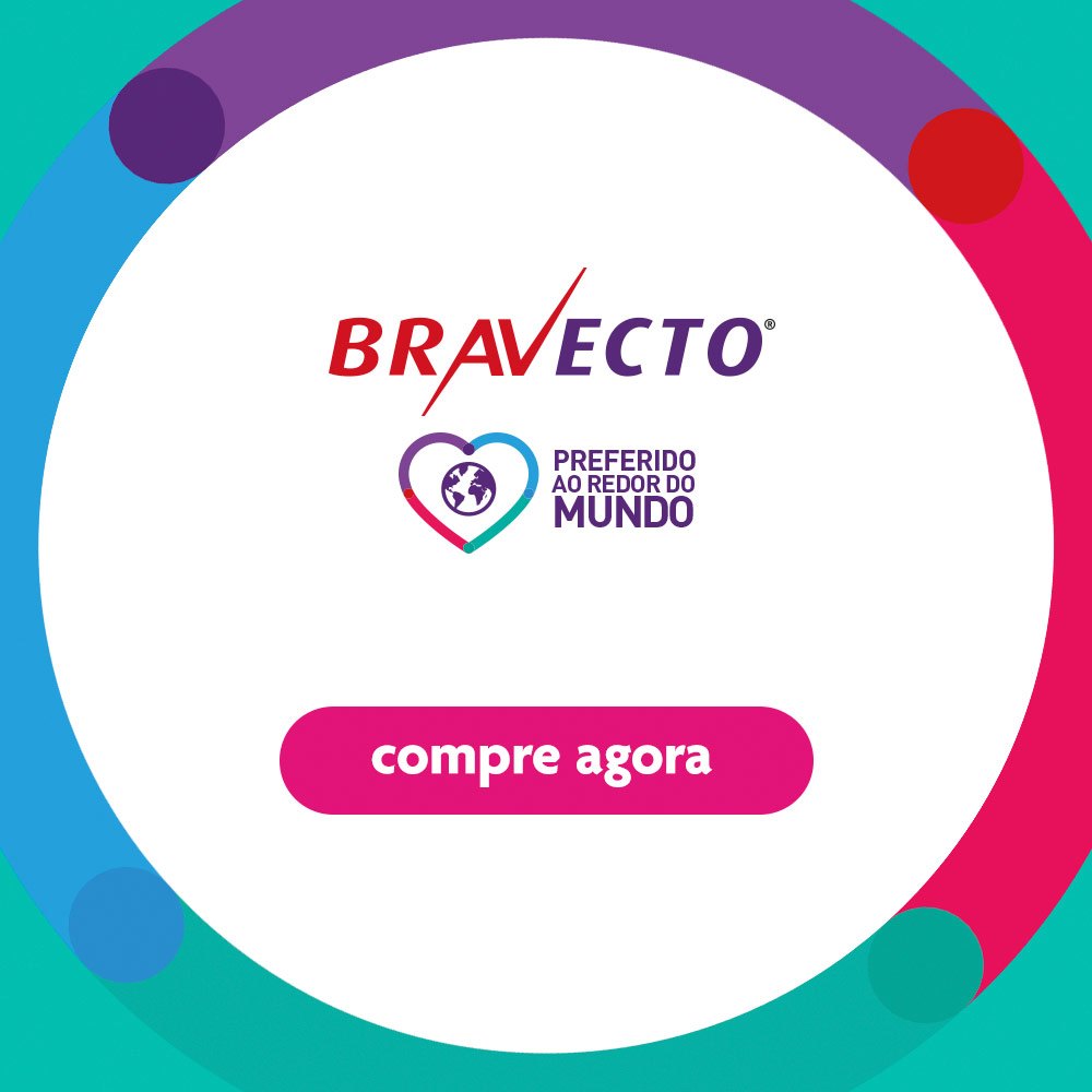 Antipulgas Bravecto Transdermal 112,5mg para Gatos de 1,2 a 2,5kg - MSD Saúde Animal