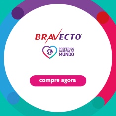 Antipulgas Bravecto Transdermal 112,5mg para Gatos de 1,2 a 2,5kg - MSD Saúde Animal