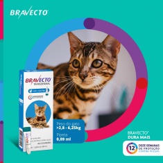Antipulgas Bravecto Transdermal 250mg para Gatos de 2,8 a 6,25kg - MSD Saúde Animal