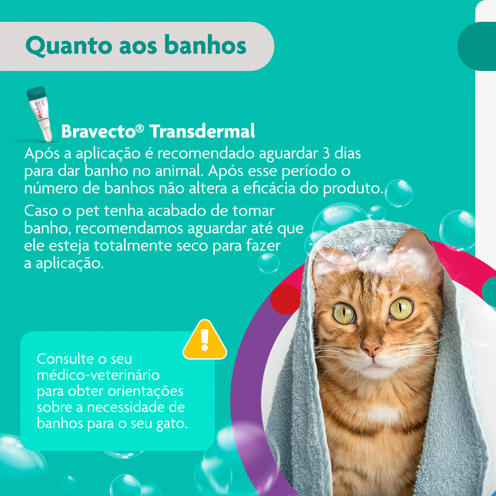 Antipulgas Bravecto Transdermal 250mg para Gatos de 2,8 a 6,25kg - MSD Saúde Animal