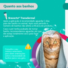 Antipulgas Bravecto Transdermal 250mg para Gatos de 2,8 a 6,25kg - MSD Saúde Animal