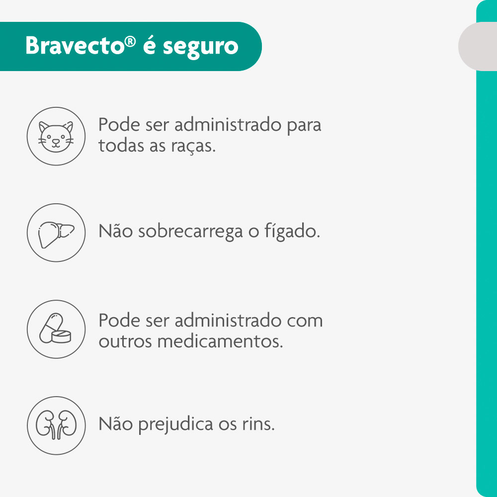 Antipulgas Bravecto Transdermal 250mg para Gatos de 2,8 a 6,25kg - MSD Saúde Animal
