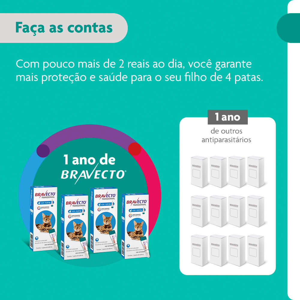 Antipulgas Bravecto Transdermal 250mg para Gatos de 2,8 a 6,25kg - MSD Saúde Animal