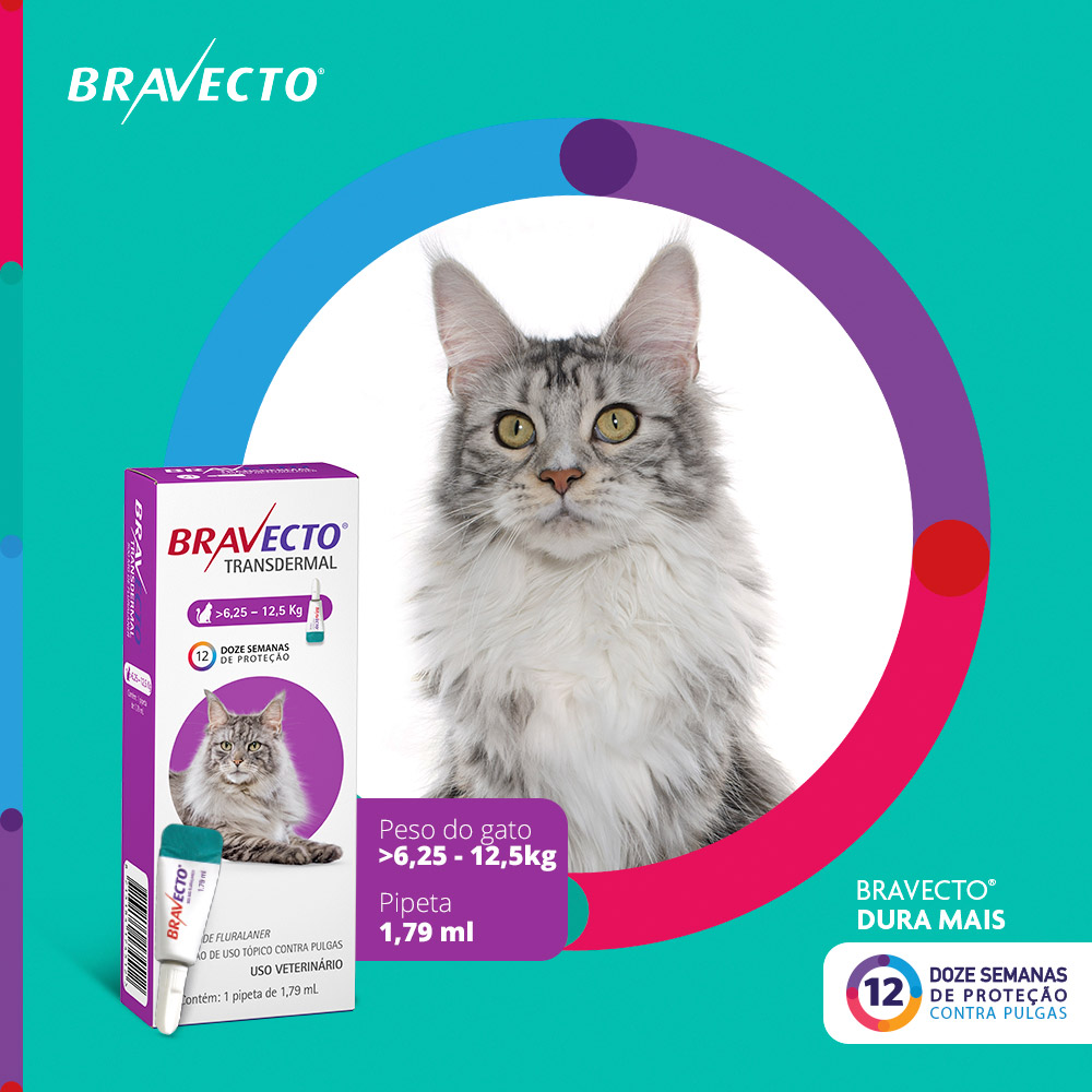 Antipulgas Bravecto Transdermal 500mg para Gatos de 6,25 a 12,5kg - MSD Saúde Animal