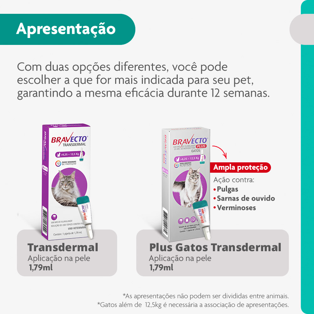 Antipulgas Bravecto Transdermal 500mg para Gatos de 6,25 a 12,5kg - MSD Saúde Animal