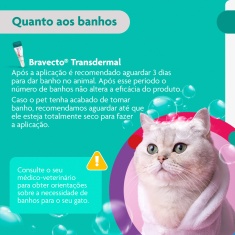 Antipulgas Bravecto Transdermal 500mg para Gatos de 6,25 a 12,5kg - MSD Saúde Animal