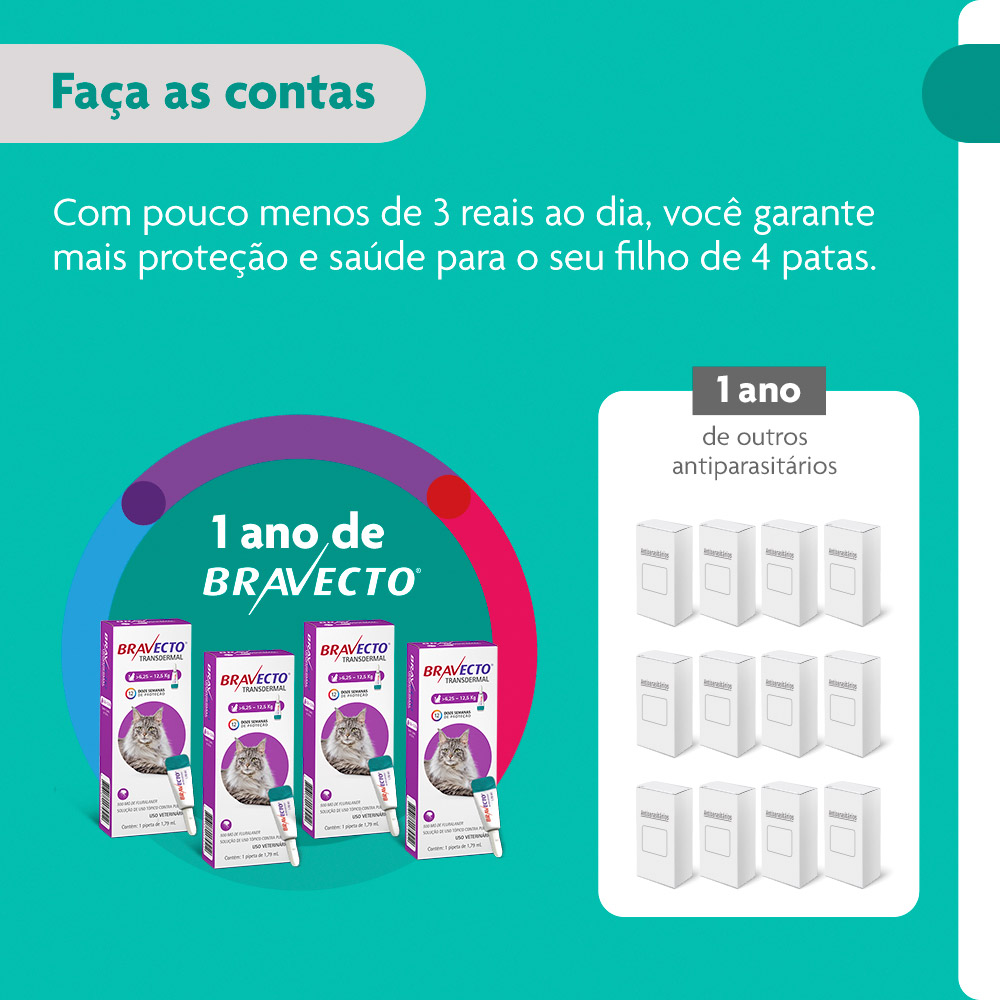 Antipulgas Bravecto Transdermal 500mg para Gatos de 6,25 a 12,5kg - MSD Saúde Animal
