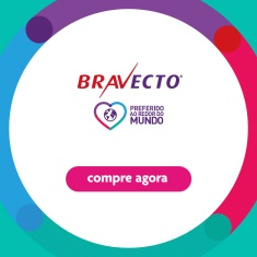 Antipulgas Bravecto Transdermal 500mg para Gatos de 6,25 a 12,5kg - MSD Saúde Animal