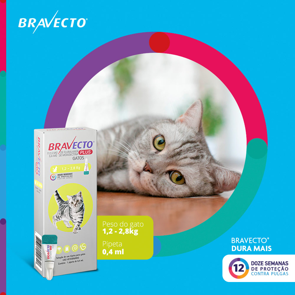 Antiparasitário Bravecto Plus Transdermal 112,5mg para Gatos de 1,2 a 2,5kg - MSD Saúde Animal