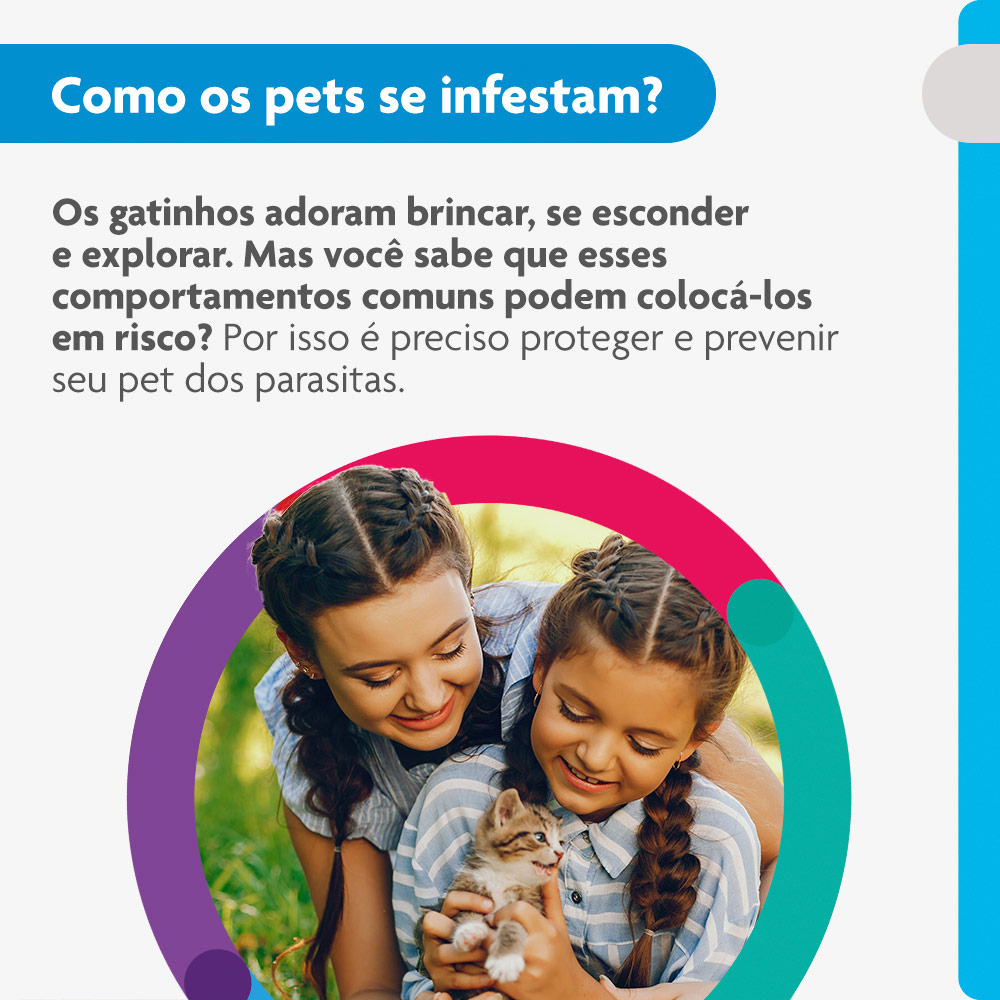 Antiparasitário Bravecto Plus Transdermal 112,5mg para Gatos de 1,2 a 2,5kg - MSD Saúde Animal