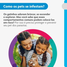 Antiparasitário Bravecto Plus Transdermal 112,5mg para Gatos de 1,2 a 2,5kg - MSD Saúde Animal