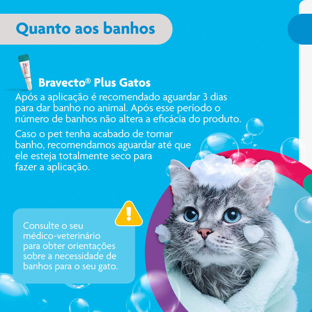 Antiparasitário Bravecto Plus Transdermal 112,5mg para Gatos de 1,2 a 2,5kg - MSD Saúde Animal