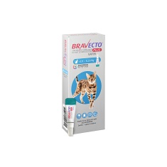 Antiparasitário Bravecto Plus Transdermal 250mg para Gatos de 2,8 a 6,25kg - MSD Saúde Animal