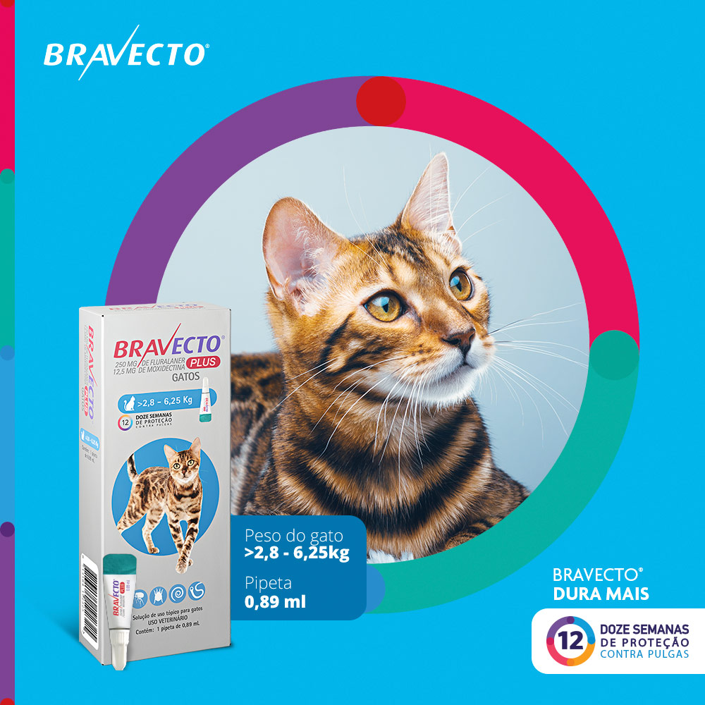 Antiparasitário Bravecto Plus Transdermal 250mg para Gatos de 2,8 a 6,25kg - MSD Saúde Animal