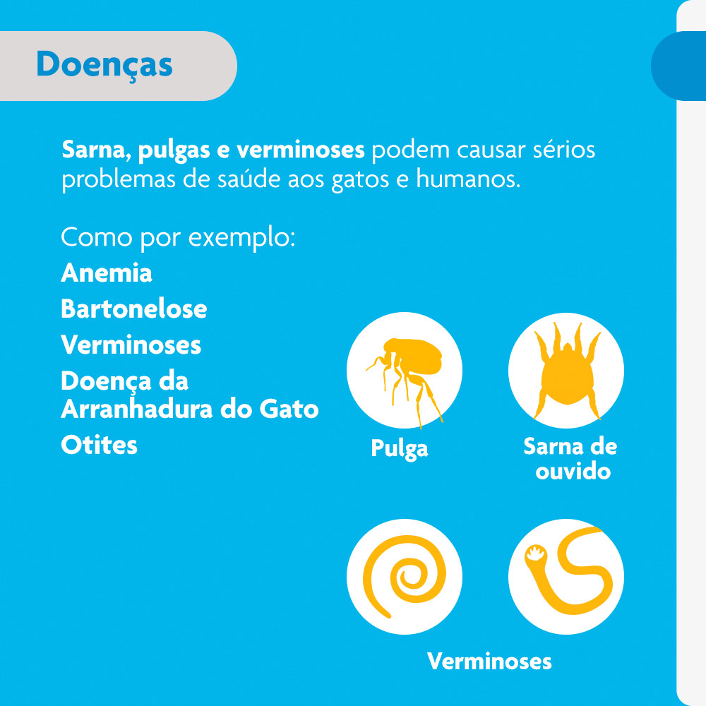 Antiparasitário Bravecto Plus Transdermal 250mg para Gatos de 2,8 a 6,25kg - MSD Saúde Animal