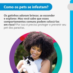 Antiparasitário Bravecto Plus Transdermal 250mg para Gatos de 2,8 a 6,25kg - MSD Saúde Animal