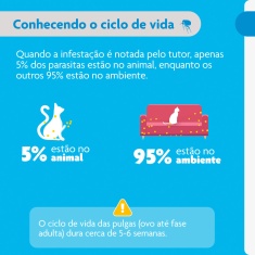 Antiparasitário Bravecto Plus Transdermal 250mg para Gatos de 2,8 a 6,25kg - MSD Saúde Animal