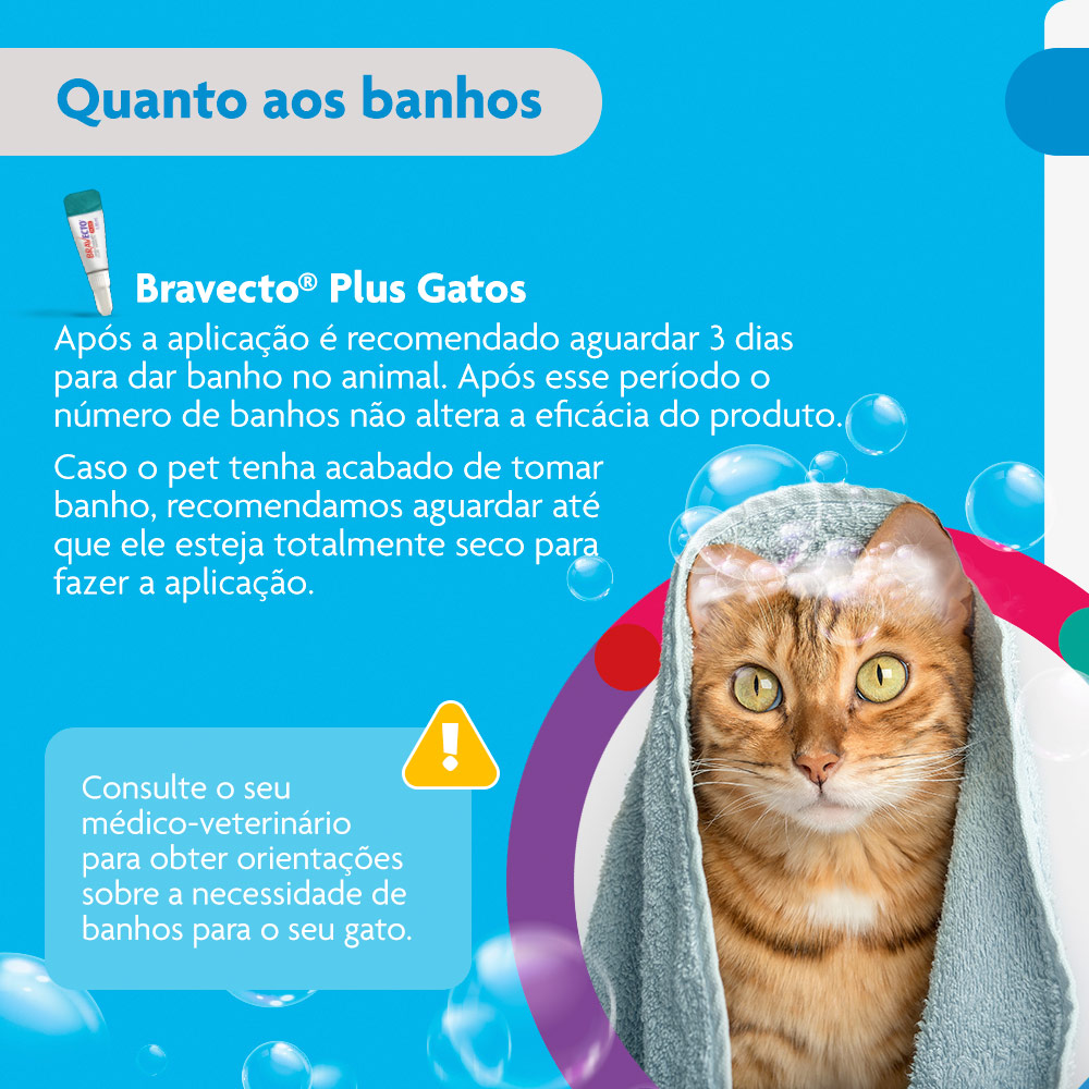 Antiparasitário Bravecto Plus Transdermal 250mg para Gatos de 2,8 a 6,25kg - MSD Saúde Animal