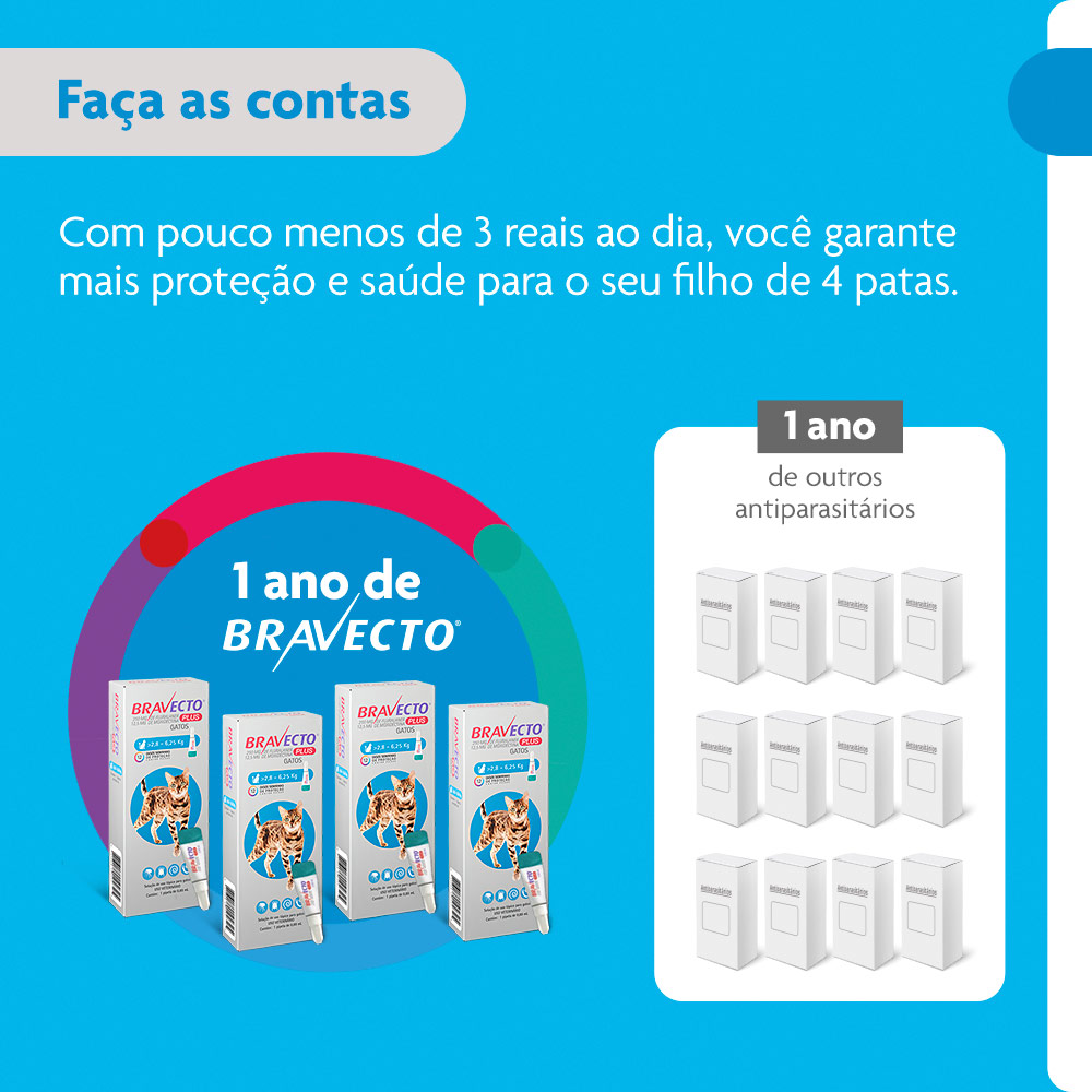 Antiparasitário Bravecto Plus Transdermal 250mg para Gatos de 2,8 a 6,25kg - MSD Saúde Animal