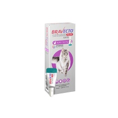 Antiparasitário Bravecto Plus Transdermal 500mg para Gatos de 5,25 a 12,5kg - MSD Saúde Animal
