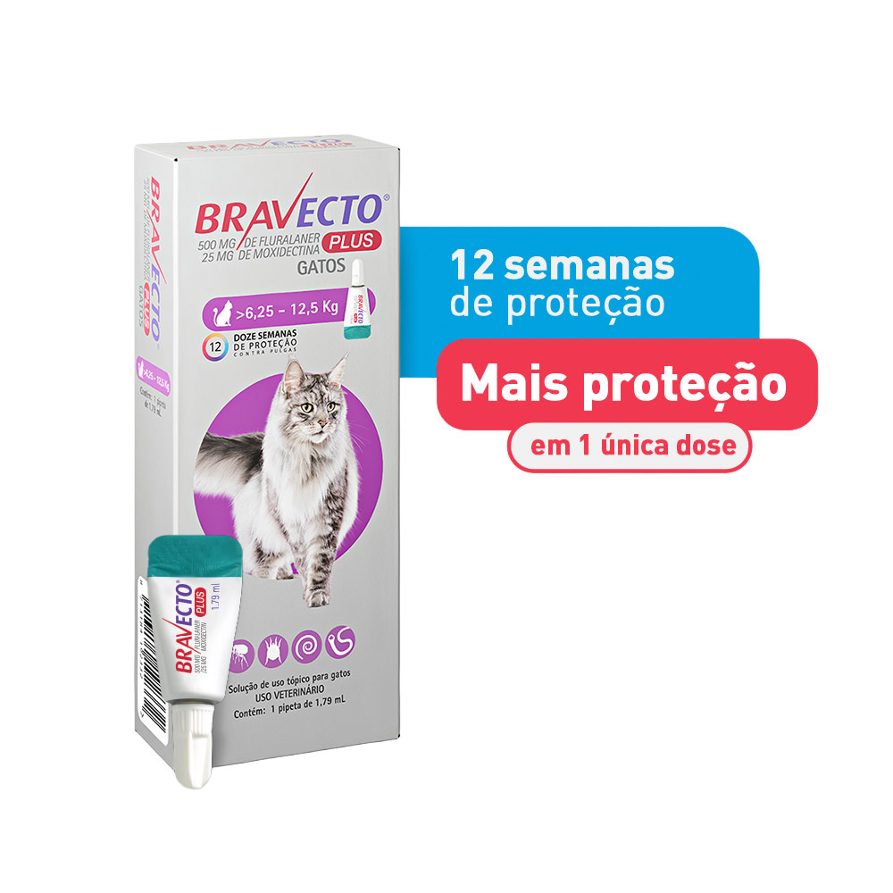 Antiparasitário Bravecto Plus Transdermal 500mg para Gatos de 5,25 a 12,5kg - MSD Saúde Animal