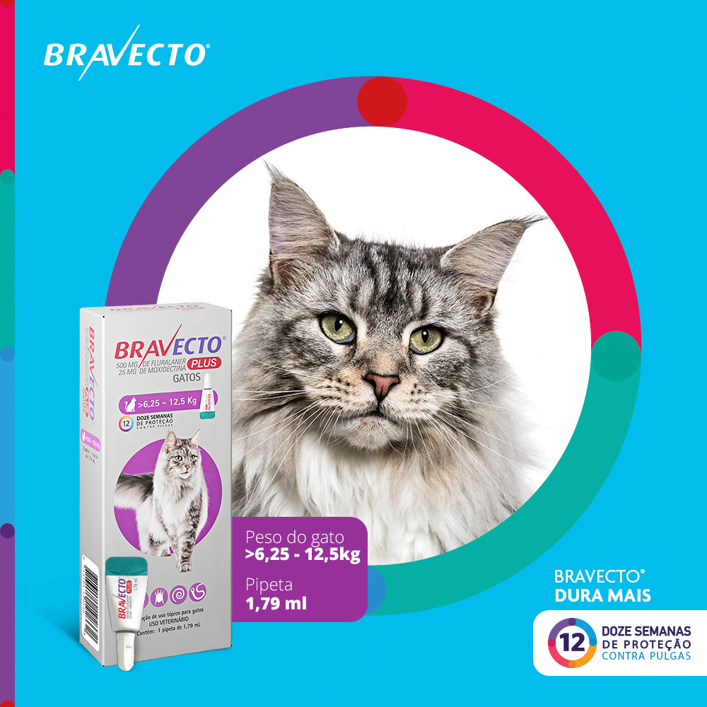 Antiparasitário Bravecto Plus Transdermal 500mg para Gatos de 5,25 a 12,5kg - MSD Saúde Animal