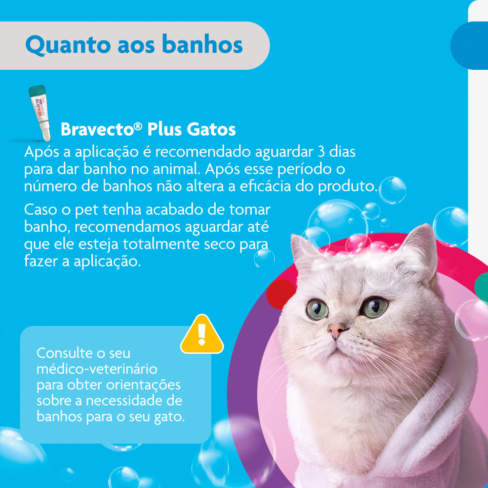 Antiparasitário Bravecto Plus Transdermal 500mg para Gatos de 5,25 a 12,5kg - MSD Saúde Animal