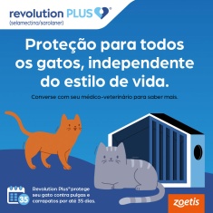 Antiparasitário Revolution Plus Zoetis para Gatos de 1,25 kg a 2,5 kg