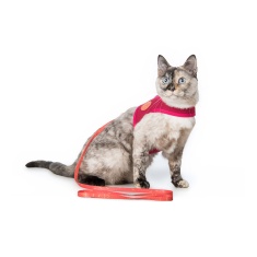 Peitoral Cat Neo Ha Ha Ha para Gatos