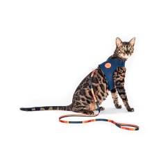 Peitoral Tchucoo Neo Sunny para Gatos