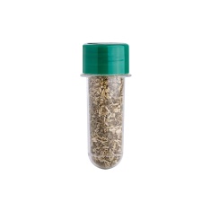 Catnip Cansei de Ser Gato 5 g