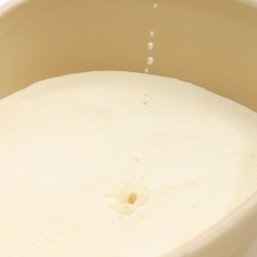 Areia Higiênica Cansei de Ser Gato Biodegradável Grãos Finos
