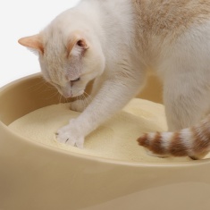 Areia Higiênica Cansei de Ser Gato Biodegradável Grãos Finos