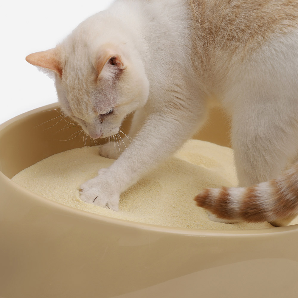 Areia Higiênica Cansei de Ser Gato Biodegradável Grãos Finos