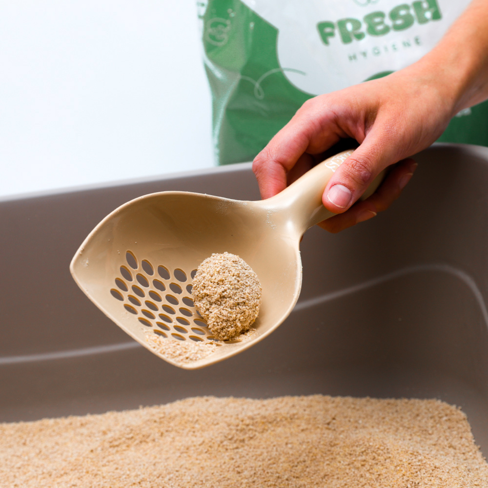 Areia Higiênica Fresh Milho e Mandioca para Gatos 3 kg